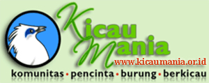 kicaumania