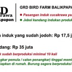 GRD - harga pasangan induk