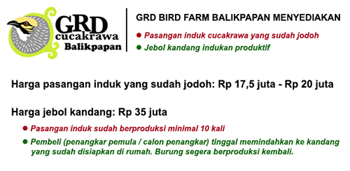 GRD - harga pasangan induk